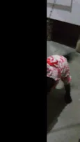 Nanda