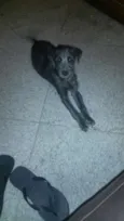 Magui e Pretinha