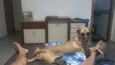 Magui e Pretinha