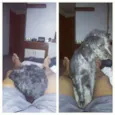 Magui e Pretinha