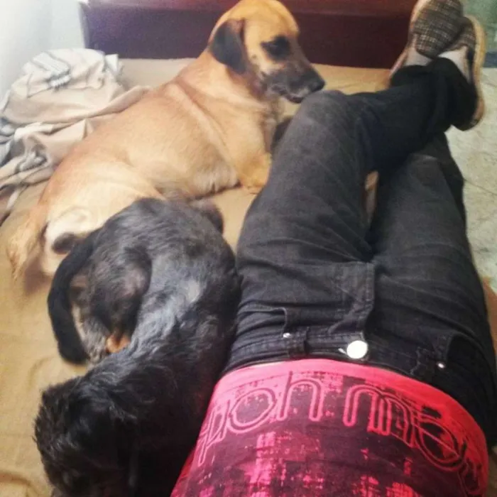 Cachorro raça Vira Lata idade 1 ano nome Magui e Pretinha