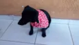 Nina