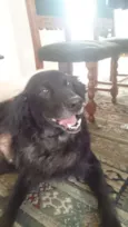 Tobias