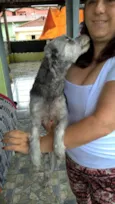 belinha