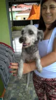 belinha