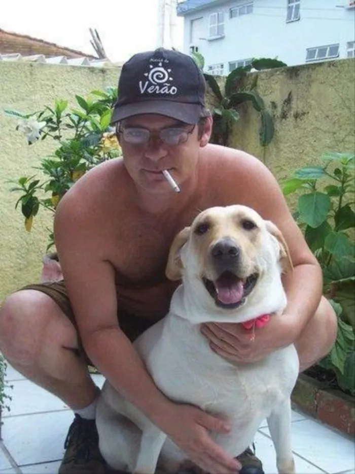 Cachorro ra a Labradora idade 6 ou mais anos nome Calinca