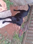1 amiguinho pra você