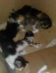 Não sei