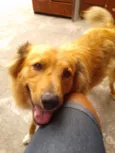 marley