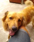 marley
