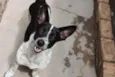 princesa