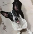 princesa