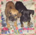 LIA E LINDINHA