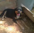 Chimba