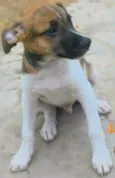 GUGU