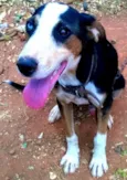 Chimbo