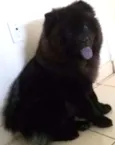 Princesa