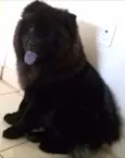 Princesa