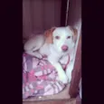 Billy