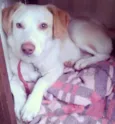 Billy