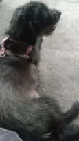 Meg