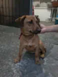 Major