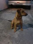 Major