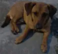 Major