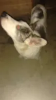 Jhonny