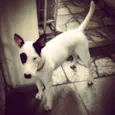 Kira