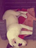 Kira