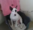 Kira
