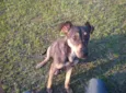 Jax