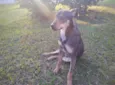 Jax