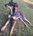 Jax