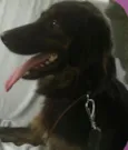 PRETONA