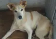 vitória