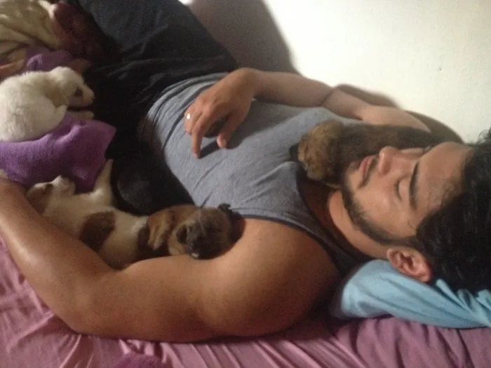 Cachorro ra a Vira lata  idade 2 a 6 meses nome A escolher