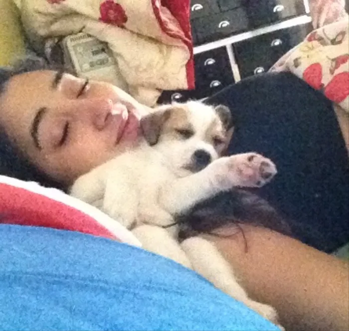 Cachorro ra a Vira lata  idade 2 a 6 meses nome A escolher