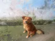 GUERRERO