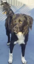 Spike