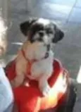 Kimi