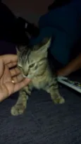 Ainda não tem