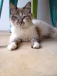 ?