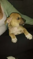 PRINCESA