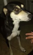 PRINCESA