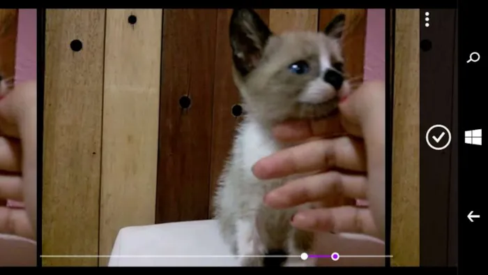 Gato ra a SRD idade Abaixo de 2 meses nome sem nome