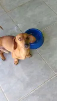 Perseu e Pituco