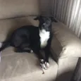 Dora