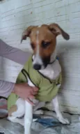 Fiona